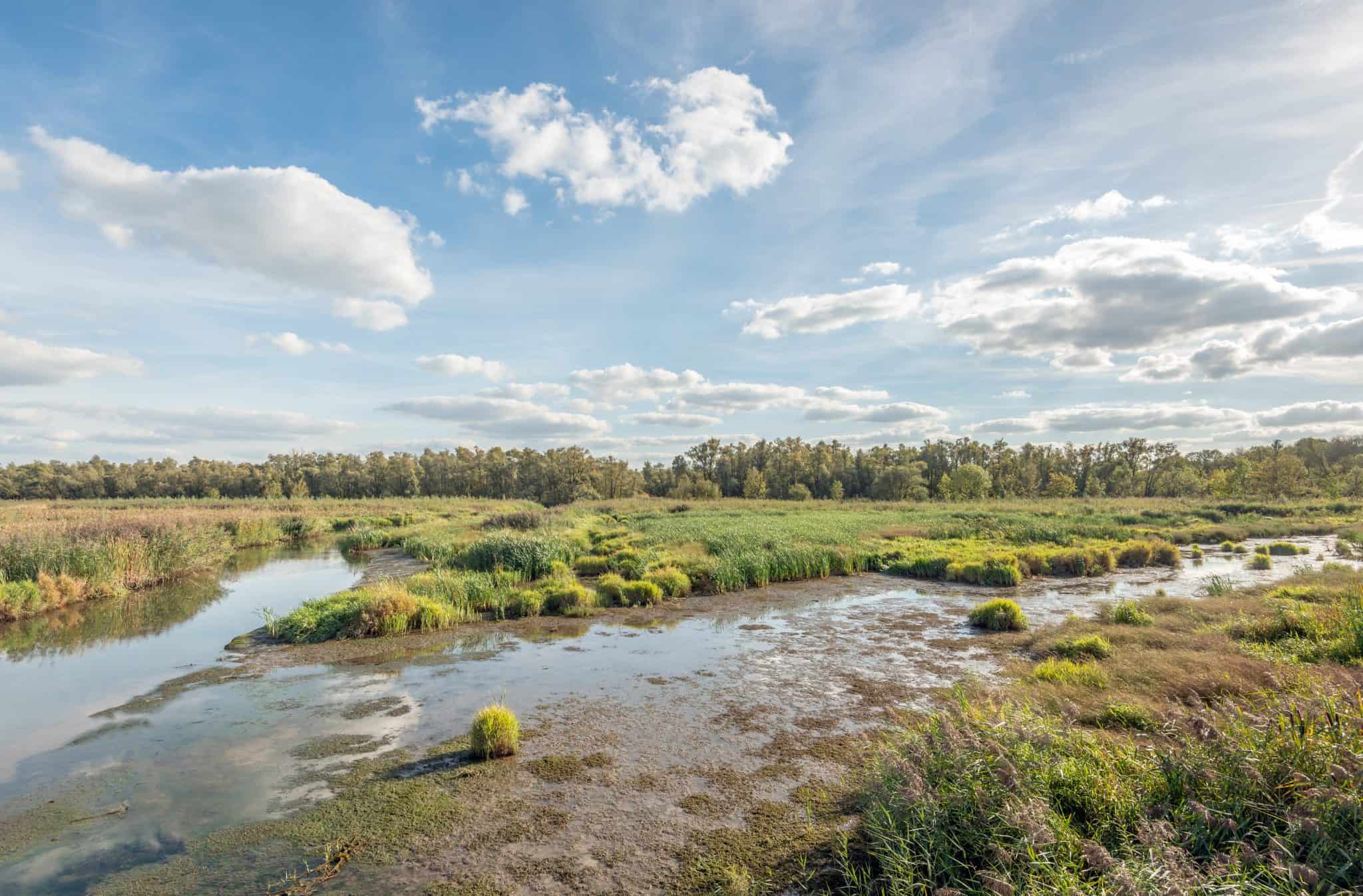 Noord Brabant de top 10 leukste ideeën voor een dagje uit