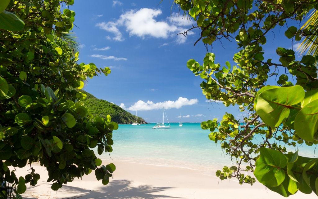 Strand met bomen en boten op Sint Maarten