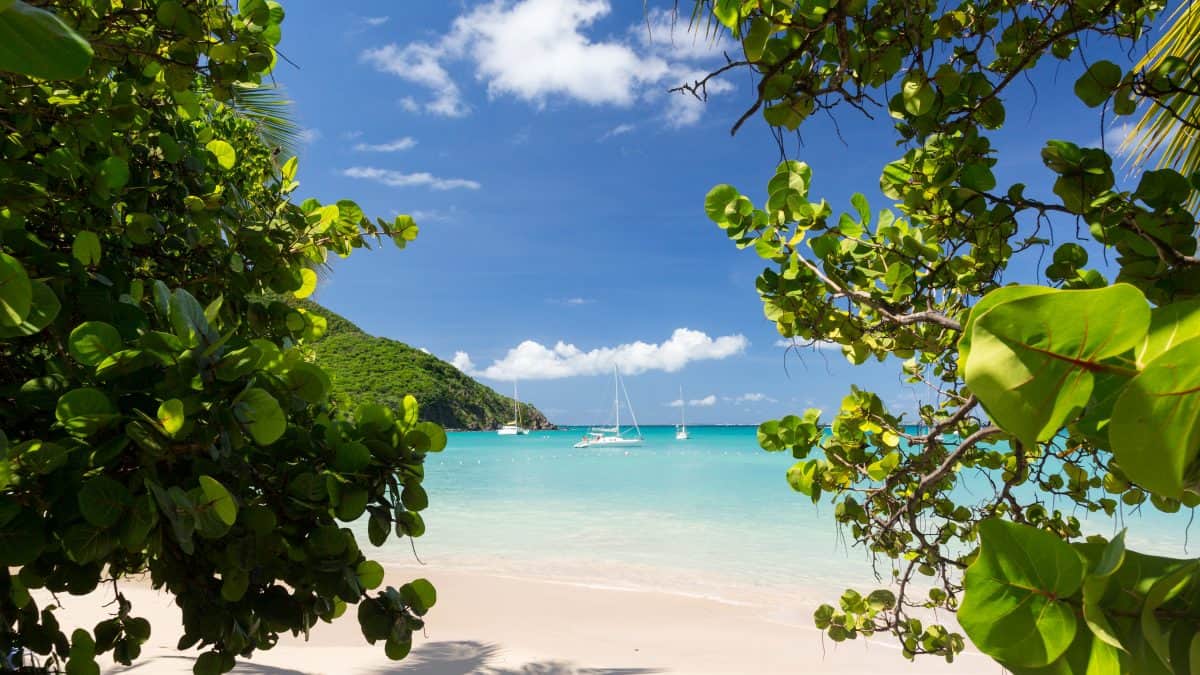 Strand met bomen en boten op Sint Maarten