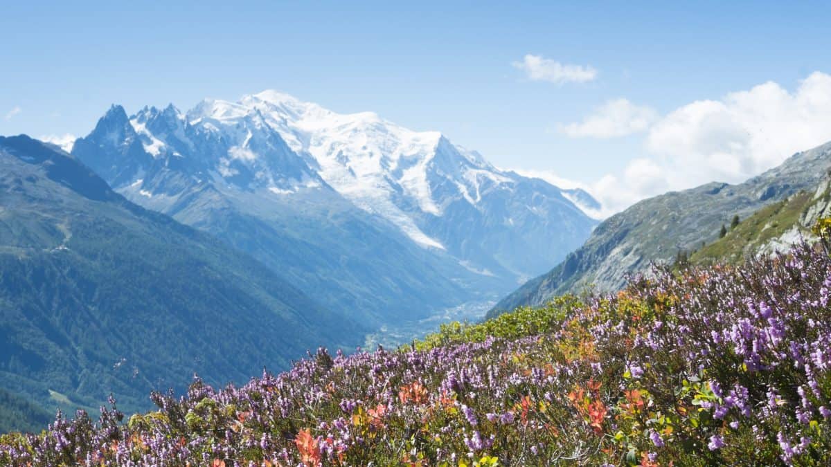 Uitzicht op de Mont Blanc in de Franse Alpen, Frankrijk