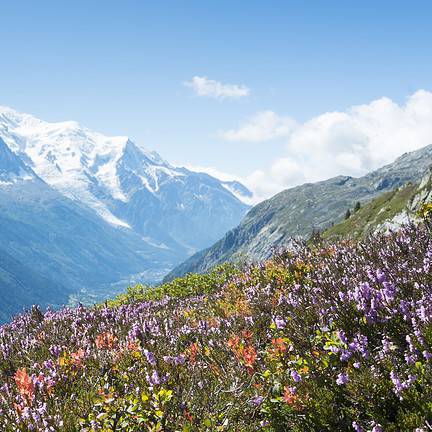 Uitzicht op de Mont Blanc in de Franse Alpen, Frankrijk