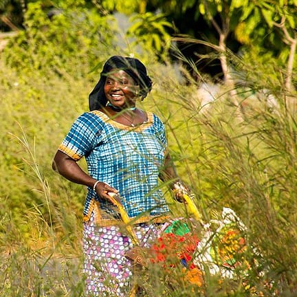 Gambiaanse vrouw met een kruiwagen vol pinda's