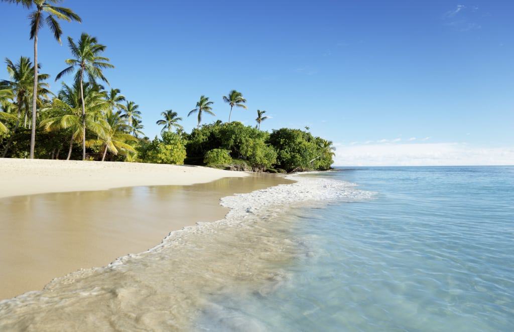 Strand met palmbomen aan de Caribische Zee van de Dominicaanse Republiek