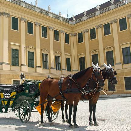Koets bij Schloss Schönbrunn in Wenen, Oostenrijk