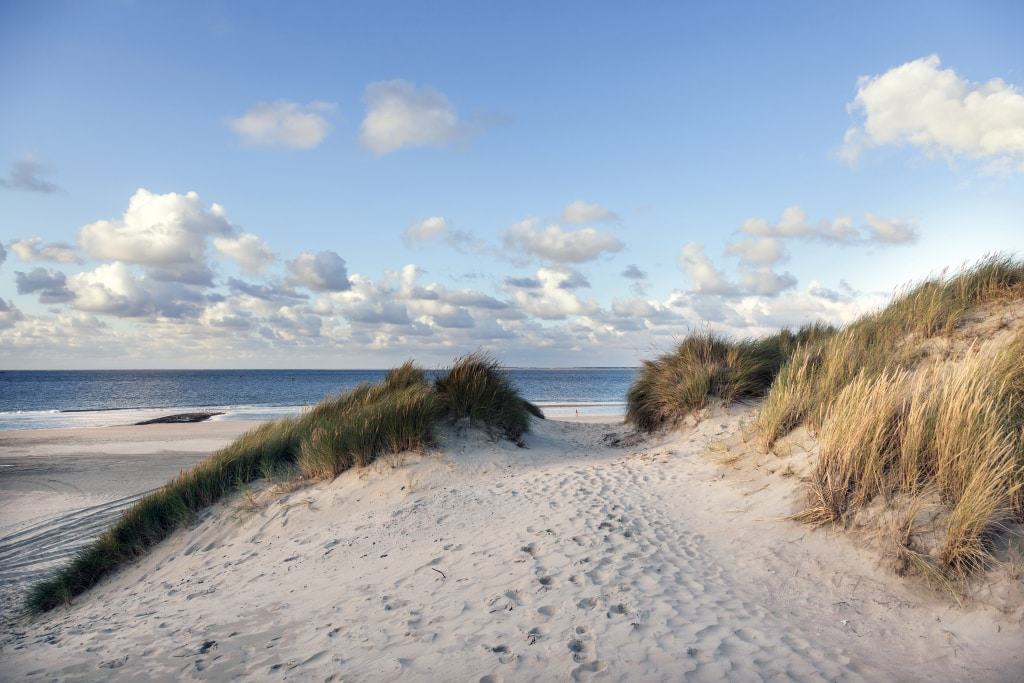 Duinen en strand op Vlieland, Waddeneilanden