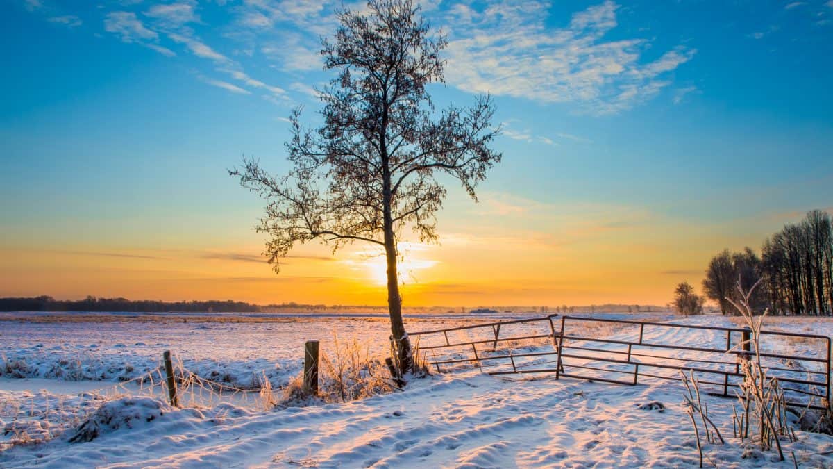 Winters landschap met sneeuw in Drenthe