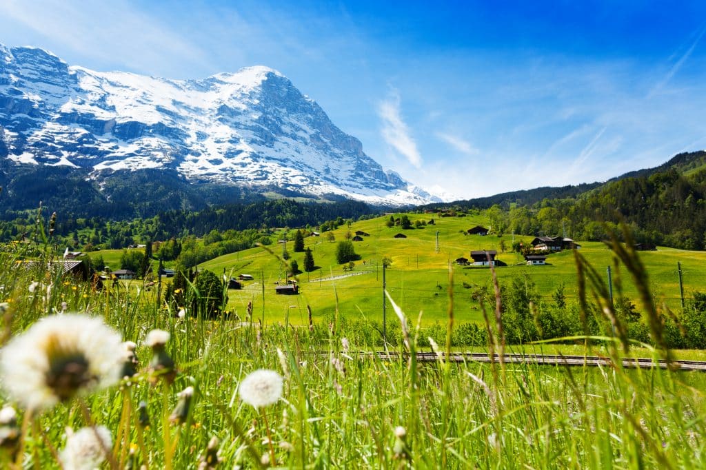 Landschap in Zwitserland