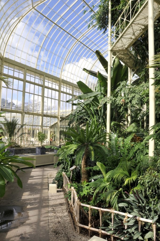 National Botanic Gardens in Dublin, Ierland