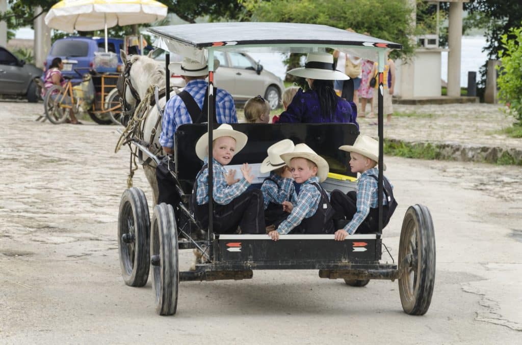 Amish familie in hun buggy