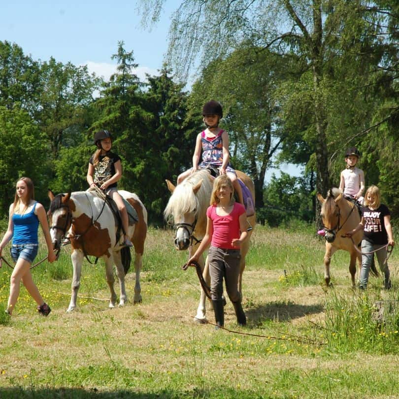 Paardrijden bij Vakantiepark Landgoed de IJsvogel in Voorthuizen, Gelderland