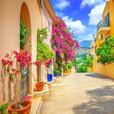Straat met veel gekleurde bloemen op Kefalonia, Griekenland
