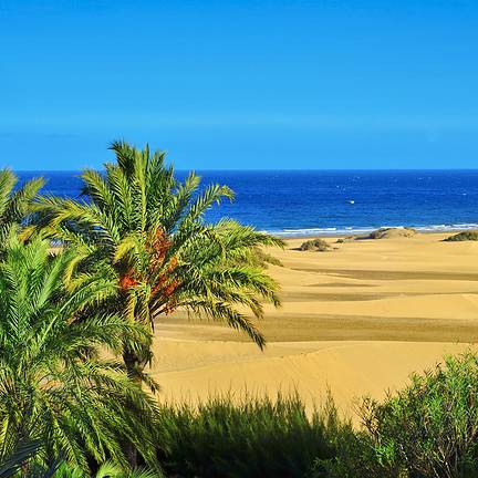 Strand van Maspalomas, Gran Canaria