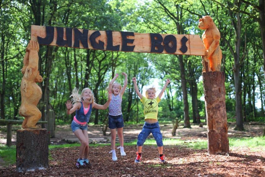 Junglebos vakantiepark Het Hoge Zand in Hooghalen, Drenthe