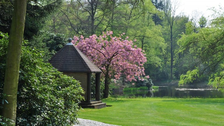 Park van Landgoed Huize Bergen in Vught, Noord-Brabant