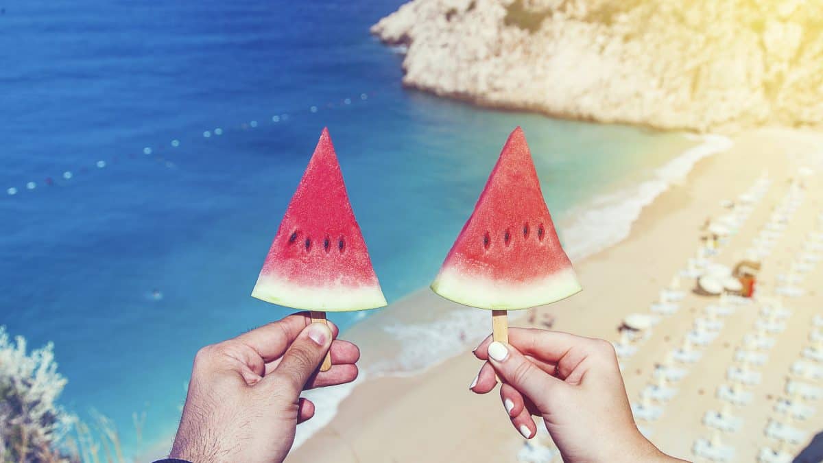 twee watermeloenen stokje strand zee uitzicht