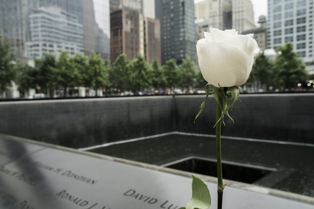 Witte roos bij het 9/11 memorial in New York, Verenigde Staten