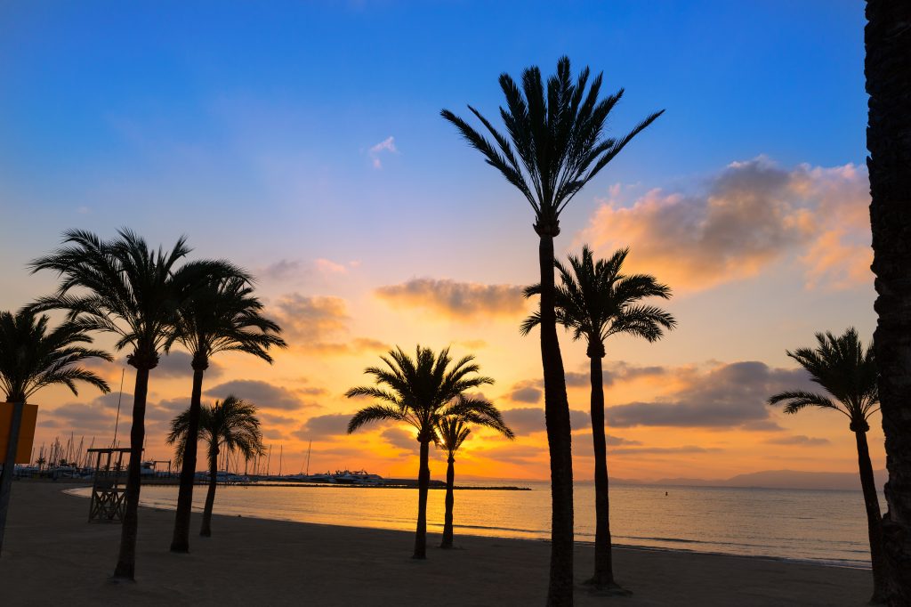 Zonsondergang met palmbomen in El Arenal, Mallorca