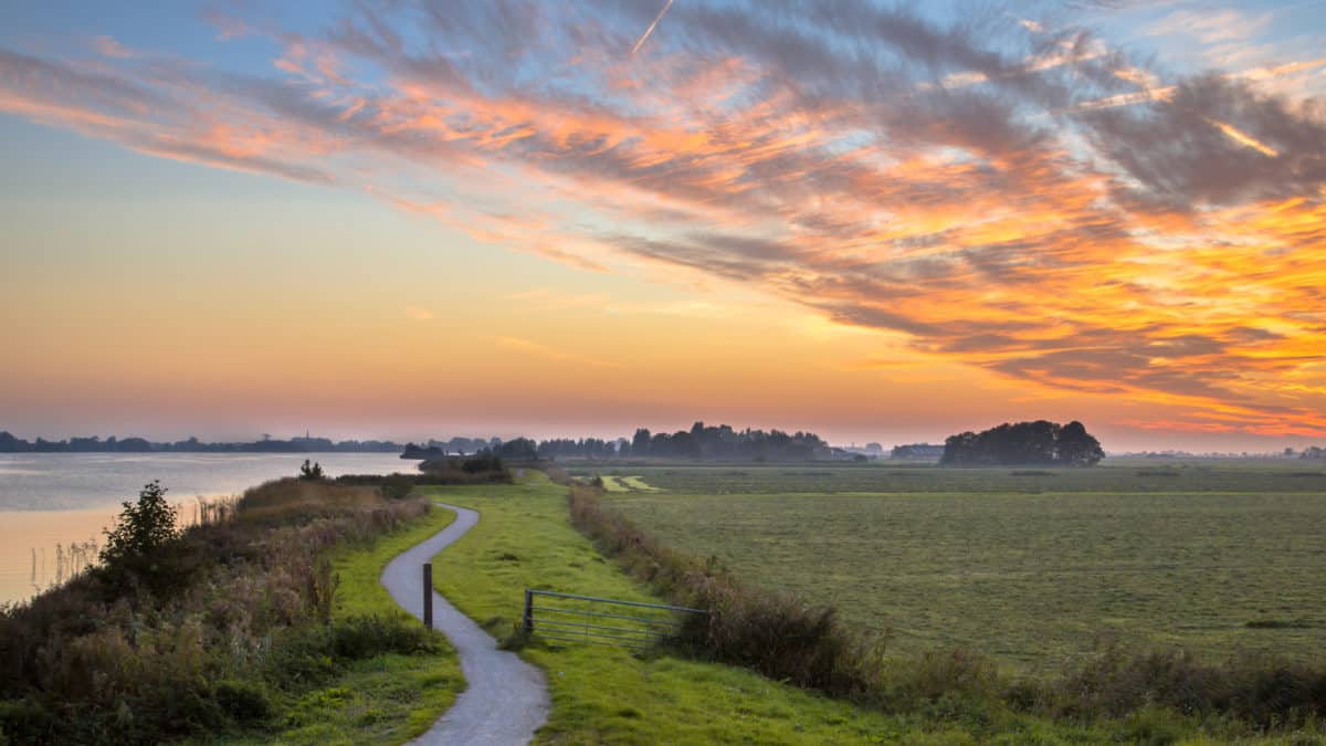 Polderlandschap met kronkelige fietspaden in Friesland