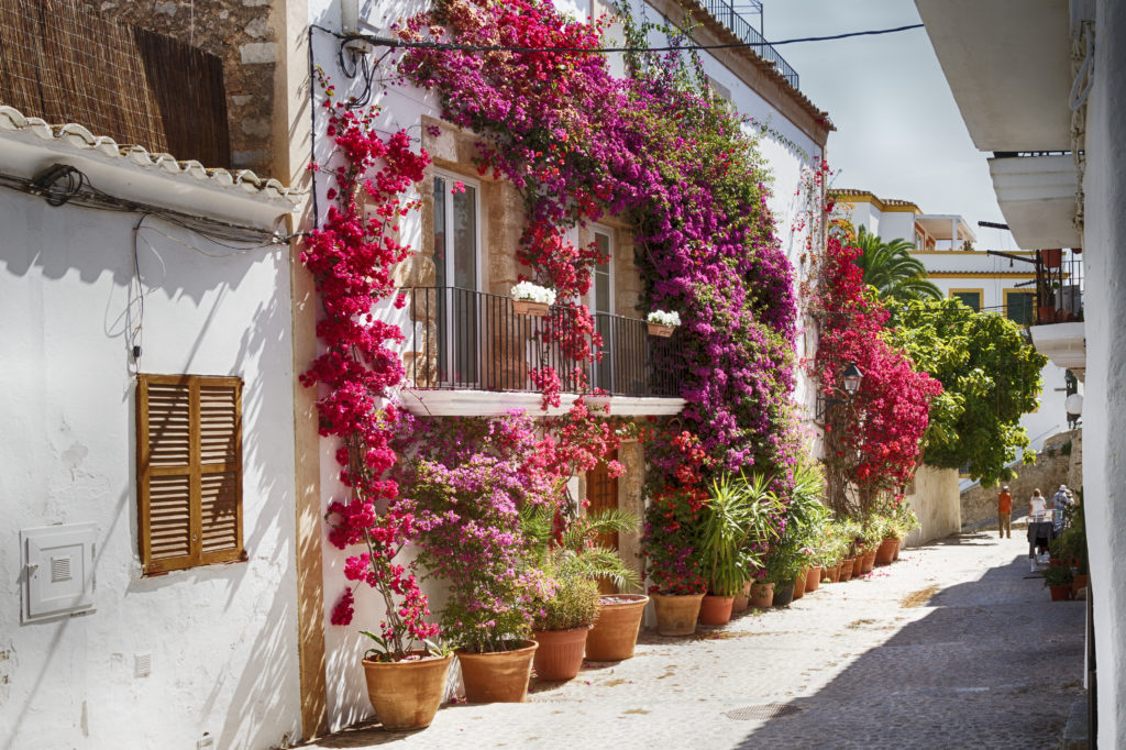 Straatje met kleurrijke bloemen in Dalt Vila, Ibiza