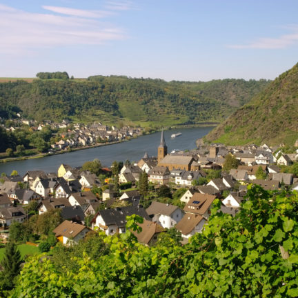 Uitzicht op de Moezel en het stadje Alken in Duitsland