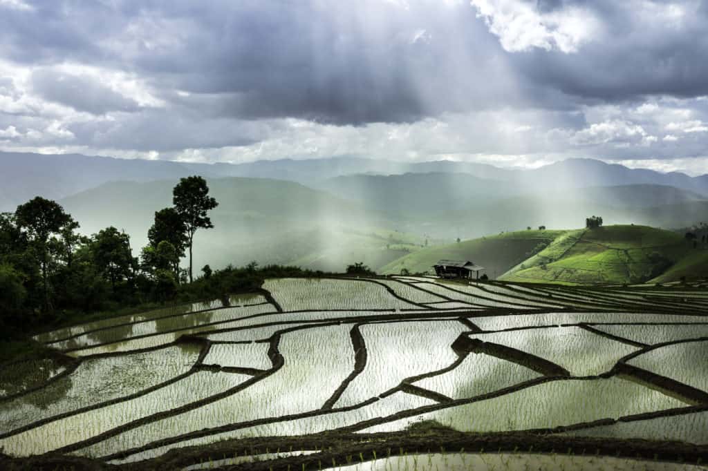 Uitzicht over rijstvelden en mistige heuvels in Chaing Mai, Thailand
