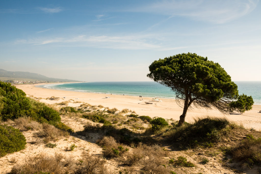 Strand van de Costa de la Luz in Andalusie, Spanje