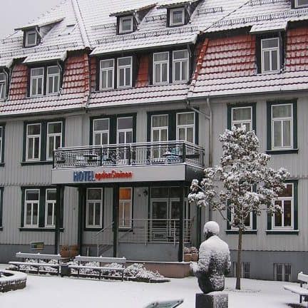 Winter van Hotel Villa OpdenSteinen in Goslar, Nedersaksen, Duitsland
