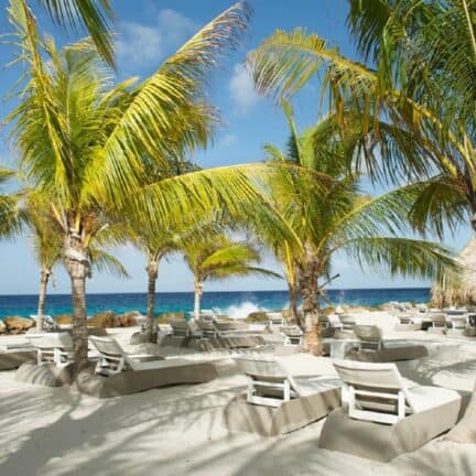 Strand van Livingstone Jan Thiel Resort in Jan Thiel Baai, Curaçao, Curaçao