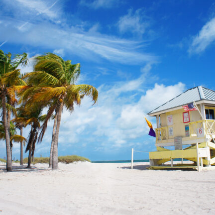 Palmbomen en strandhuis in Miami, Florida