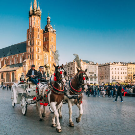 Twee paarden voor een ouderwetse koets in het centrum van Krakau, Polen
