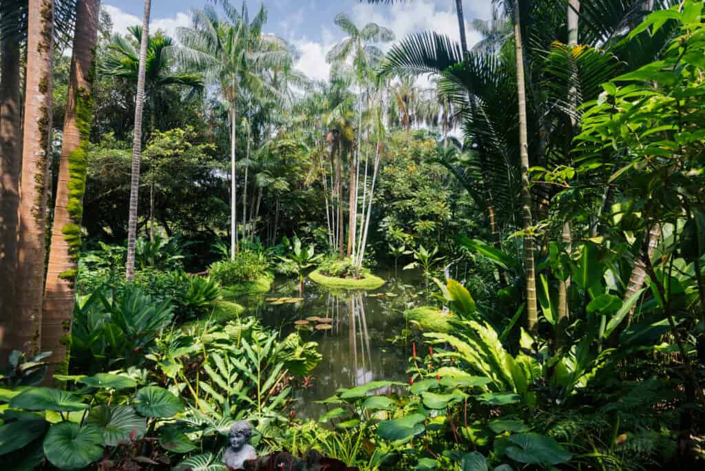 Planten in Botanical Gardens in Singapore