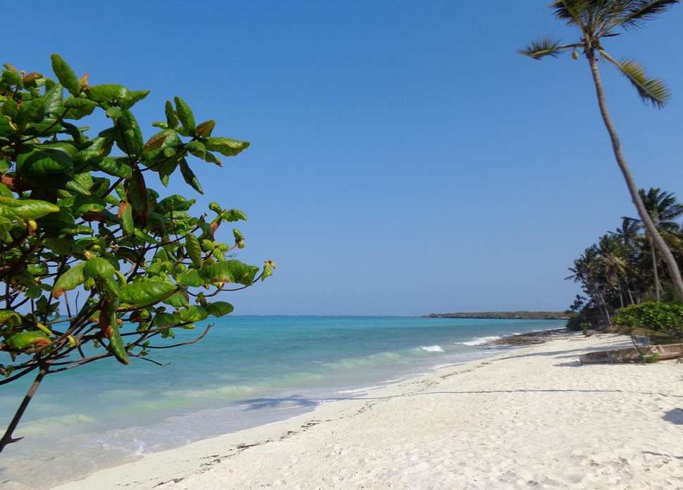 Strand van Reef & Beach Resort in Paje, Zanzibar, Tanzania