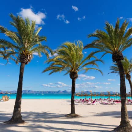 Strand met palmbomen op Mallorca