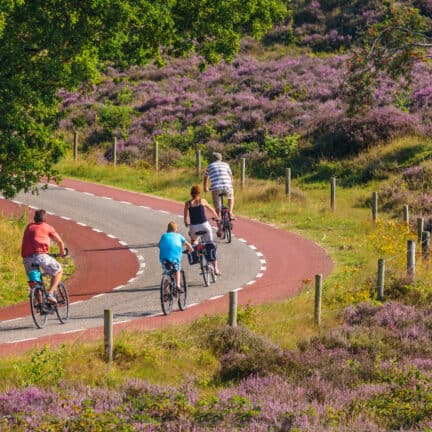 Fietsers fietsen door het Nationale Park Veluwezoom in Gelderland