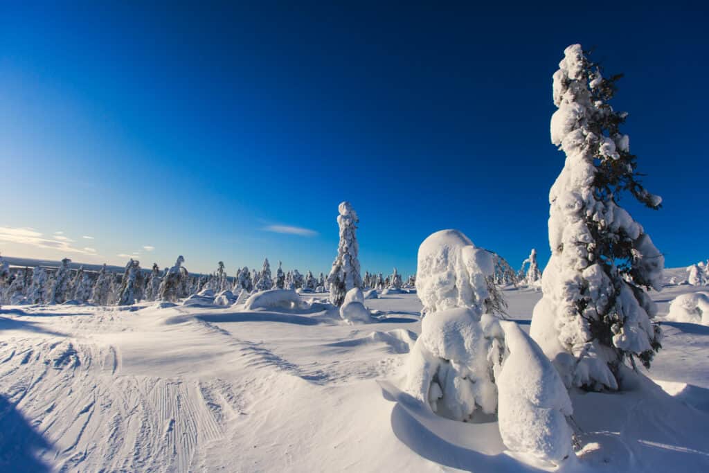 Winters landschap van Levi in Finland