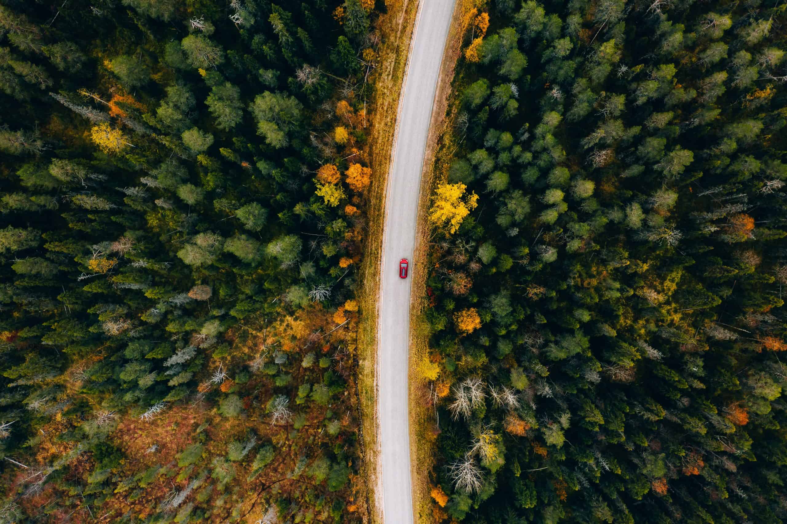 Auto rijd door het bos in Finland