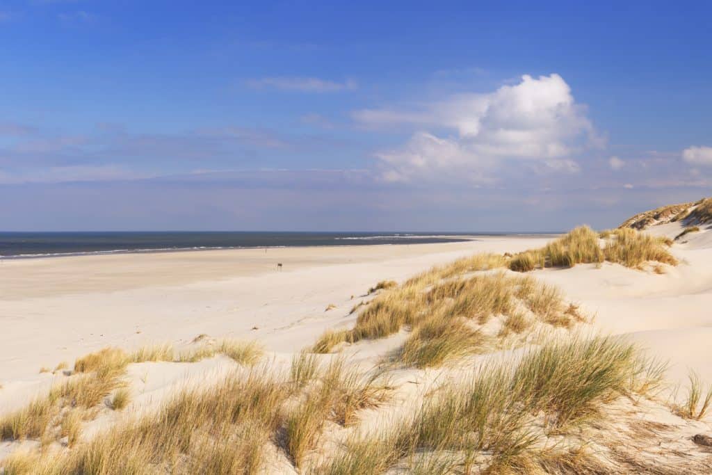 Strand en duinen aan de Nederlandse kust