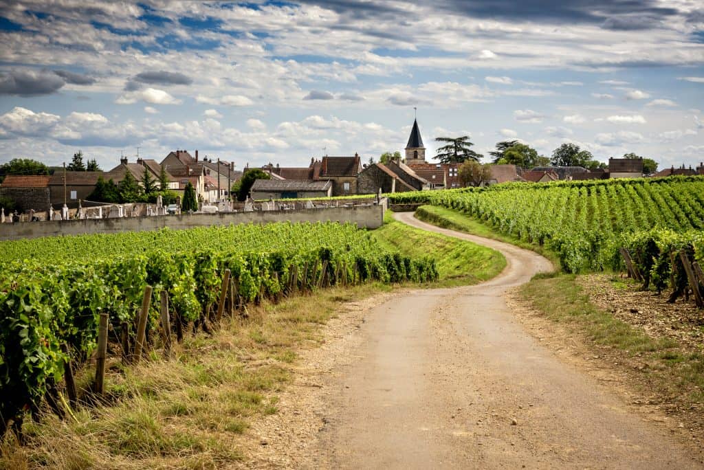 Wijngaarden en uitzicht op een dorpje in de Bourgogne, Frankrijk