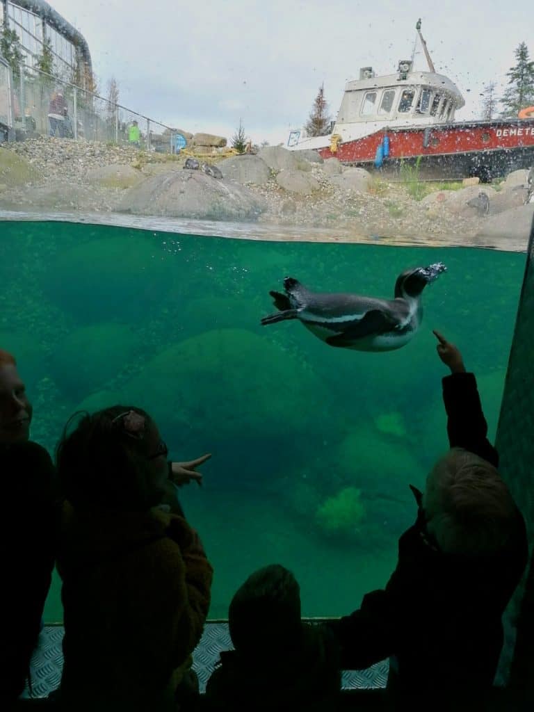 Kinderen kijken naar een pinguïn onder water in Nortica