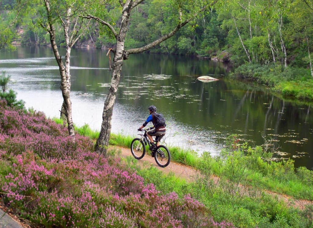 Mountainbiker fietst langs een waterplas
