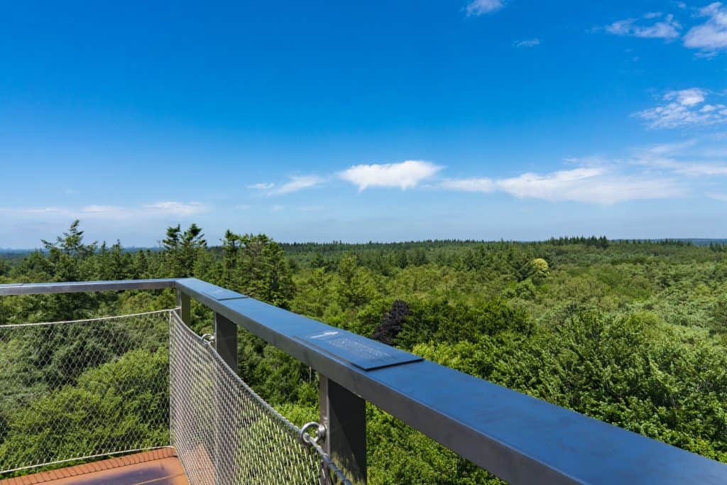 Uitzicht vanaf de uitkijktoren op de boomtoppen van het Nationaal Park Utrechtse Heuvelrug