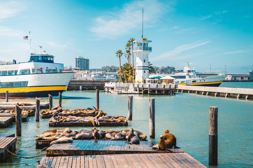 fishermans wharf met zeeleeuwen in San Francisco